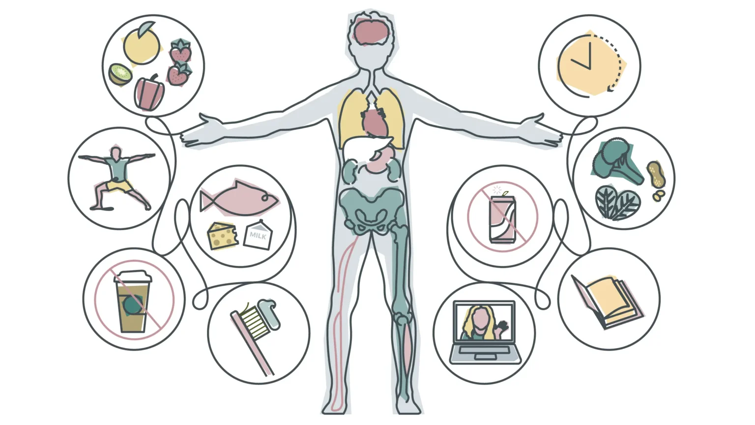 Immune System Health: Essential Tips for a Stronger Immunity